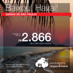 Promoção de Passagens para o <b>Havaí</b>! A partir de R$ 2.866, ida e volta, COM TAXAS! Datas na Black Friday!