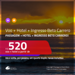 Promoção de <b>INGRESSO BETO CARRERO + PASSAGEM + HOTEL</b>! A partir de R$ 520, por pessoa, quarto duplo, c/ taxas!