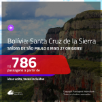 Promoção de Passagens para a <b>BOLÍVIA: Santa Cruz de la Sierra</b>! A partir de R$ 786, ida e volta, c/ taxas!