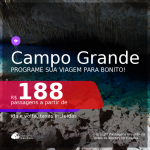 Programe sua viagem para Bonito! Passagens para <b>CAMPO GRANDE</b>, com datas até JUNHO 2021! A partir de R$ 188, ida e volta, c/ taxas!