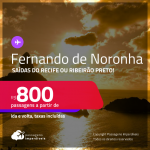 Passagens para <strong>FERNANDO DE NORONHA</strong>! A partir de R$ 800, ida e volta, c/ taxas!