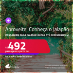 Programe sua viagem para o Jalapão! Passagens para <strong>PALMAS</strong>! A partir de R$ 492, ida e volta, c/ taxas! Datas até Dezembro/24, Inclusive na melhor época para o Jalapão (Maio).