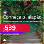 Programe sua viagem para o Jalapão! Passagens para <strong>PALMAS</strong>! A partir de R$ 539, ida e volta, c/ taxas! Datas até Dezembro/24!