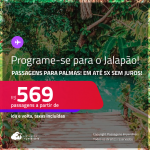 Programe sua viagem para o Jalapão! Passagens para <strong>PALMAS</strong>! A partir de R$ 569, ida e volta, c/ taxas! Em até 5x SEM JUROS!