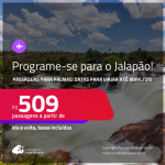 Programe sua viagem para o Jalapão! Passagens para <strong>PALMAS</strong>! Datas para viajar até Abril/25! A partir de R$ 509, ida e volta, c/ taxas!