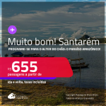 MUITO BOM!!! Programe sua viagem para o Alter do Chão: o Paraíso Amazônico! Passagens para <strong>SANTARÉM</strong>! A partir de R$ 655, ida e volta, c/ taxas! Em até 10x SEM JUROS!