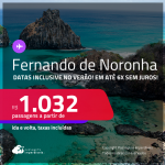 Passagens para <strong>FERNANDO DE NORONHA</strong>! A partir de R$ 1.032, ida e volta, c/ taxas! Em até 6x SEM JUROS! Datas inclusive no Verão!