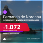 Passagens para <strong>FERNANDO DE NORONHA</strong>! A partir de R$ 1.072, ida e volta, c/ taxas! Em até 6x SEM JUROS! Datas inclusive no Verão!