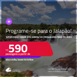 Programe sua viagem para o Jalapão! Passagens para <strong>PALMAS</strong>! Datas para viajar até Junho/25! A partir de R$ 590, ida e volta, c/ taxas!