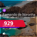 Passagens para <strong>FERNANDO DE NORONHA</strong>! Datas para viajar inclusive no Verão! A partir de R$ 929, ida e volta, c/ taxas!