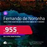 Passagens para <strong>FERNANDO DE NORONHA</strong>! Datas para viajar inclusive no Verão! A partir de R$ 955, ida e volta, c/ taxas!