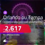 Programe sua viagem para a Disney! Passagens para <strong>ORLANDO ou TAMPA</strong>! A partir de R$ 2.617, ida e volta, c/ taxas!