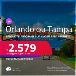 Programe sua viagem para a Disney! Passagens para <strong>ORLANDO ou TAMPA</strong>! A partir de R$ 2.579, ida e volta, c/ taxas! Em até 6x SEM JUROS!