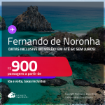 Passagens para <strong>FERNANDO DE NORONHA</strong>! A partir de R$ 900, ida e volta, c/ taxas! Em até 6x SEM JUROS! Datas inclusive no Verão!